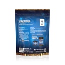 CREATINA 250 GRMS GENTECH 