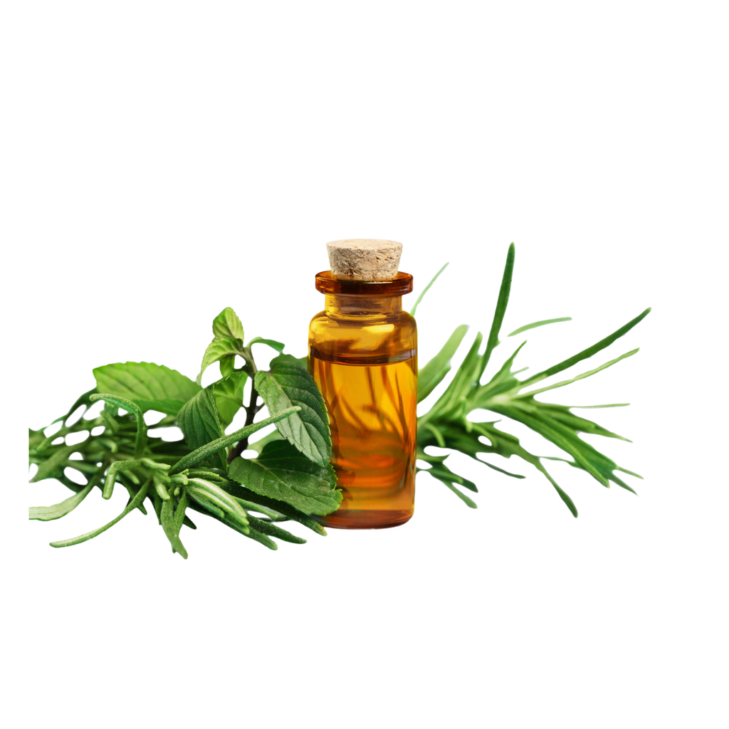 ACEITE ESENCIAL DE ÁRBOL DE TÉ TEA TREE X 10ML BIOFIT