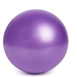 [PEL85] GYM BALL 85 CM VIOLETA